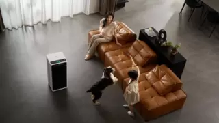 IAM携手鸿蒙智选进博会发布无耗材智能环保家电代表作