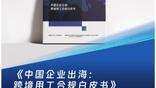 法大大首份《中企出海跨境用工合规白皮书》重磅发布，勾勒全球人力合规新格局