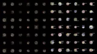 陶朗再度亮相进博会，首发新一代LUCAi™人工智能引擎