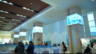 AI+XR打破虚实边界！随幻科技为进博会又带来哪些新体验？