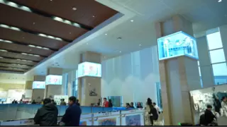 AI+XR打破虚实边界！随幻科技为进博会又带来哪些新体验？