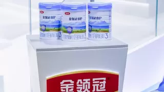 伊利金领冠亮相第八届进博会，全球最新母乳研究成果获关注