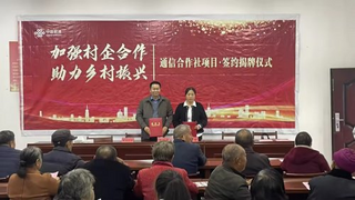 村企携手筑根基数字服务暖乡村——随州联通深耕基层助力乡村振兴