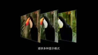 双奖加身！长城汽车灵彩画质引领车载显示画质新标准