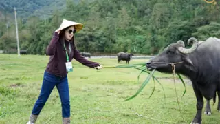 溯源云南腾冲黄金奶源带，悠纯乳业构建从牧场到信任的品质闭环