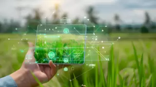 连续三届全国第一，浙江移动折桂 “华彩杯”算力创新应用大赛