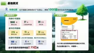 五年扩产近30倍！信德农牧登顶中国非笼养蛋鸡存栏量第一