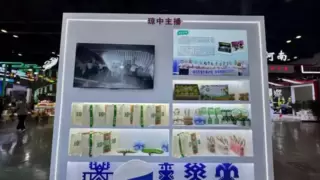 琼中主播闪耀南宁！ 海南七大劳务品牌集体亮相全国劳务协作盛会