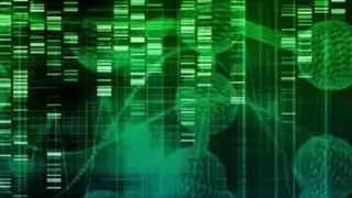 生研界AI科研助手：以智能技术重塑医学科研全流程