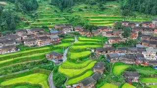 中国三星CSR新三年战略收官 扎实履行社会责任