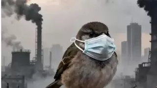 从空中看碳，从数据管碳：走进九昆仑的智慧低碳体系