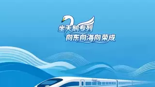 那香海天鹅湖天鹅已逾千只，湖边赏景，当一天童话里的“闲人”