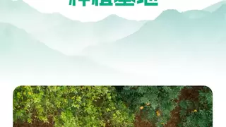 远方好物：信任之舟载动山间好物 溯源之路连接城乡餐桌