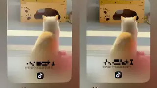 隔空抓取、一碰即传、小艺识图搜索：鸿蒙版抖音全新上线30多项功能，为华为Mate双旗舰带来创新体验