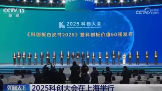 合合信息入选“科创板价值50强”,多模态文本智能技术助推AI应用升级