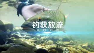 以公益铸初心，阿玛迪斯引领可持续垂钓新征程