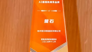 载誉前行！萤石实力斩获4项权威荣誉，诠释行业引领者本色