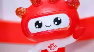 冬日红杉映初心，联通助老摄影课堂温暖开讲