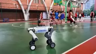 机器人学长，带你逛校园！当虹科技打造可落地的“机器人+教育”新场景