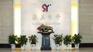 赛英电子IPO即将上会:功率半导体领域的领航者,乘势而上开启新篇章