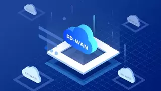 2025年12月SD-WAN服务商深度解析与选型指南