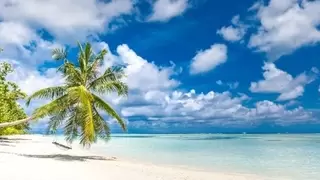 华为云赋能数字岛国：毛里求斯电信的智能化转型实践