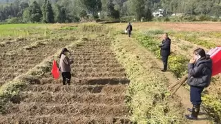 湖北：深耕振兴沃土 赋能乡村蝶变——来凤联通绘就马家坝村幸福新图景​