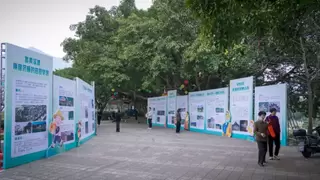 智汇乡创·筑梦福安——福安市成功举办首届乡村振兴创业创意大赛