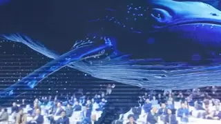 当“鲸鱼”游入现实，万有引力助力空间计算产业进入落地加速期