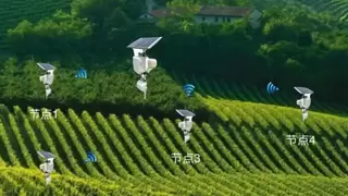 “法治赋能·数字驱动“红丝华国货商城双子星计划助力区域经济战略研讨会在粤召开