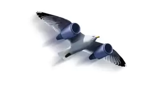 ERP公有云转型到底怎么做？BOS Cloud 帛丝云商携手 SAP Cloud ERP给出答案