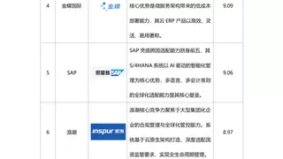 2025年度中国一体化ERP软件实力榜单：头部厂商全景解析