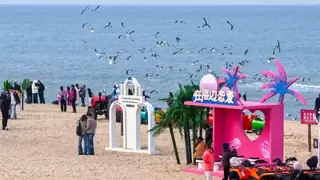 那香海年度记忆：一页页翻过我们的2025，再迈向崭新的2026