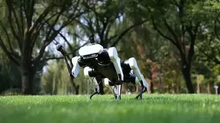 黑芝麻智能与联想研究院机器人实验室达成战略合作，共推机器人产业创新与落地