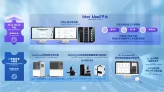 德适生物创新研发跨模态大模型，冲刺“医学影像大模型第一股”