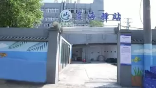 数智守护蔚蓝海岸， 浙江移动5G+创新赋能“蓝色循环”新模式