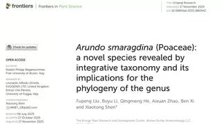 兰多生物发现芦竹属新物种，植物能源创新再获重大突破