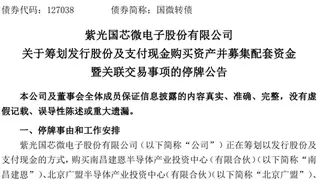 紫光国微并购瑞能半导：“设计+制造”整合，打造中国版恩智浦？