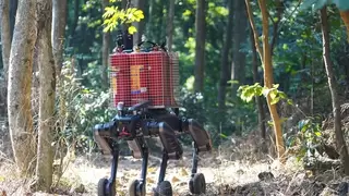 拓斯达四足机器狗“星仔”发布，释放场景拓展信号