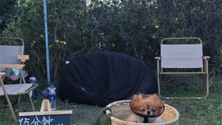 Soul App构建情感栖息地，在实践中探索社交元宇宙新形态