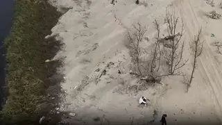 智能哨兵上岗 用AI守护候鸟与红树林的生死线