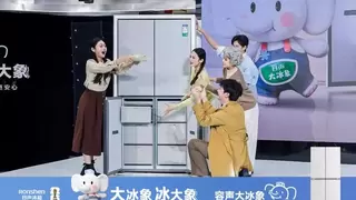 容声发布“大冰象”冰箱，以系统性创新重构家庭冷冻存储标准