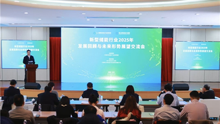 破局·重塑·领跑：  2025新型储能行业变局与未来趋势深度解读