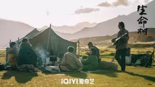 爱奇艺开年大剧《生命树》定档1月30日，品牌抢占CNY营销价值高地