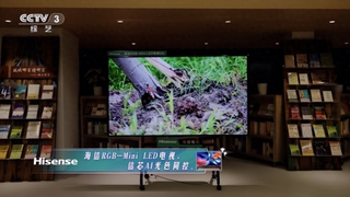2026高端电视首选！海信RGB-Mini LED技术成为全球高端显示标准