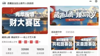 “藏源山南·臻品贺岁”——山南市乡村振兴计划之优质产品成都行