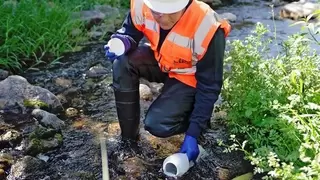 从盐碱滩到光伏绿洲： SGS如何让新能源项目与湿地生态和谐共生