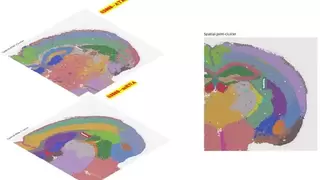 空间ATAC能做什么？BMKMANU S3000-ATAC带你上车！