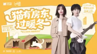 低门槛高共鸣，大王椰解锁全民公益的家居品牌新玩法