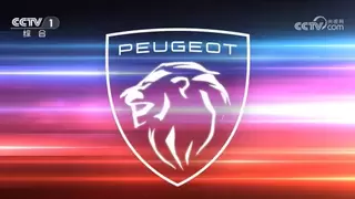 骐骥驰骋 “狮”不可挡 东风标致荣登央视